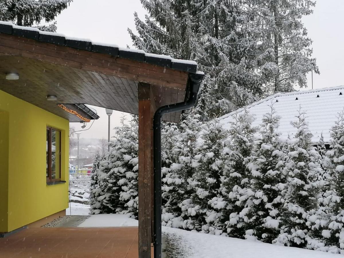 Villa Sunny House à Lipno nad Vltavou Extérieur photo