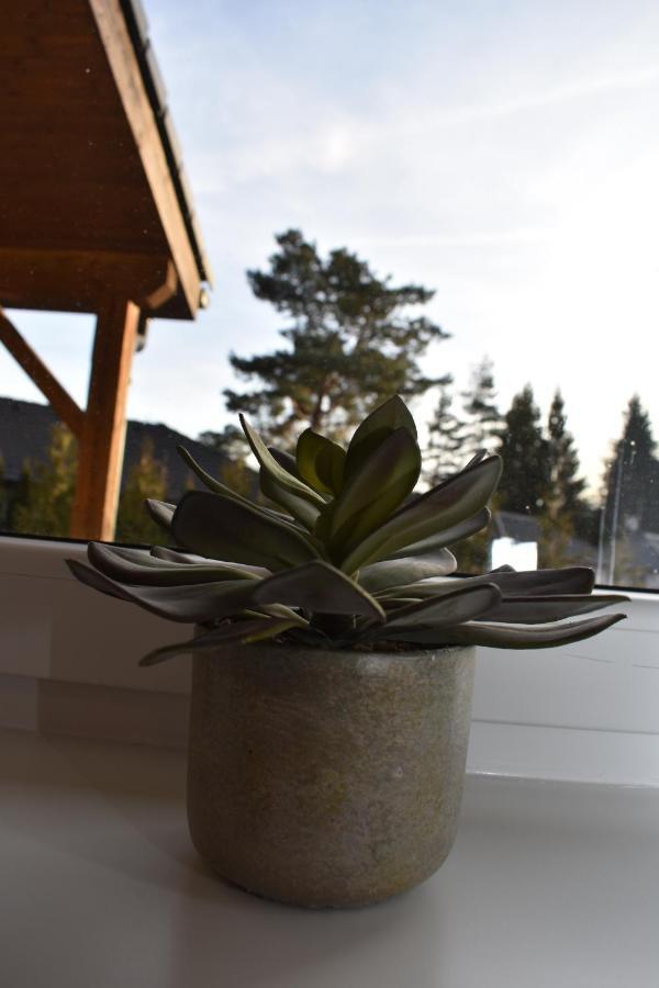 Villa Sunny House à Lipno nad Vltavou Extérieur photo